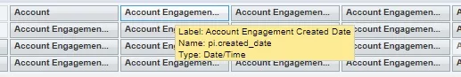 Field names account engagement hover over