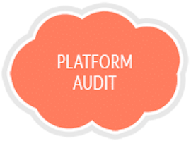 PLATFORM AUDIT